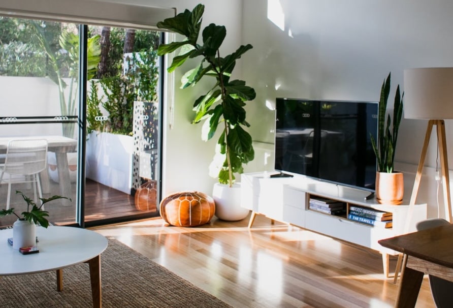 Bright small apartment decorated with nature wall art