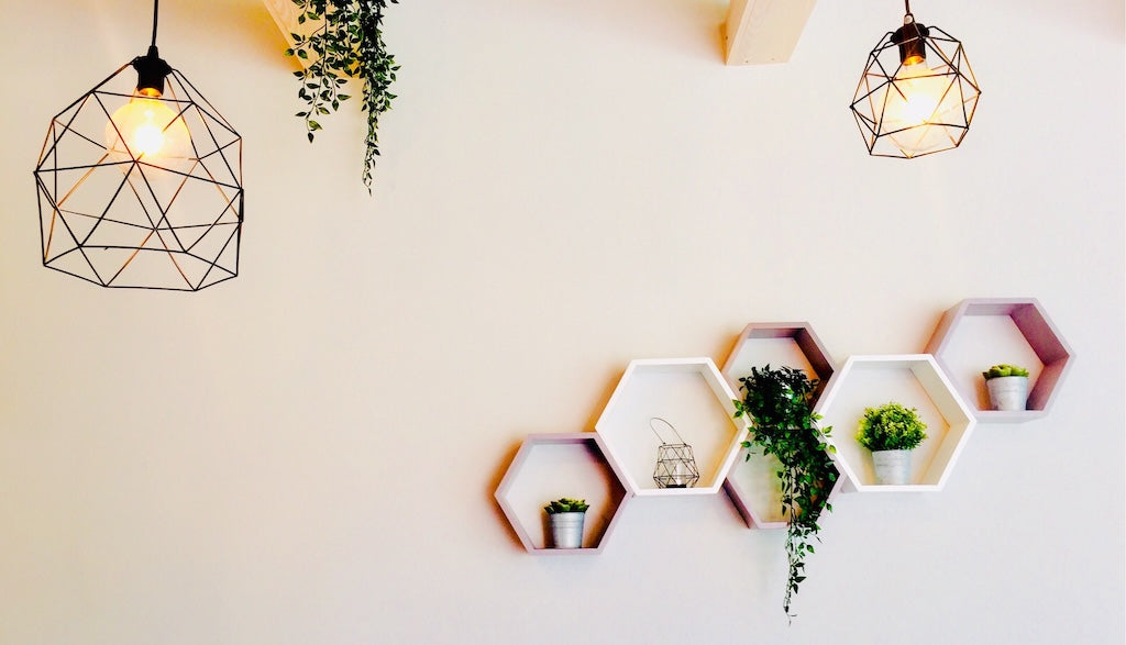 Nature Gallery Wall Ideas: How to Style Nature Wall Art
