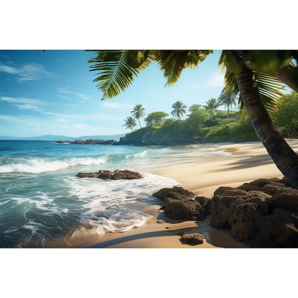 Canvas of Palm Trees on the Beach