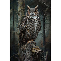 Thumbnail for Canvas of an Owl