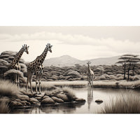 Thumbnail for Three Giraffe Canvas