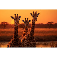 Thumbnail for Giraffe Print Canvas