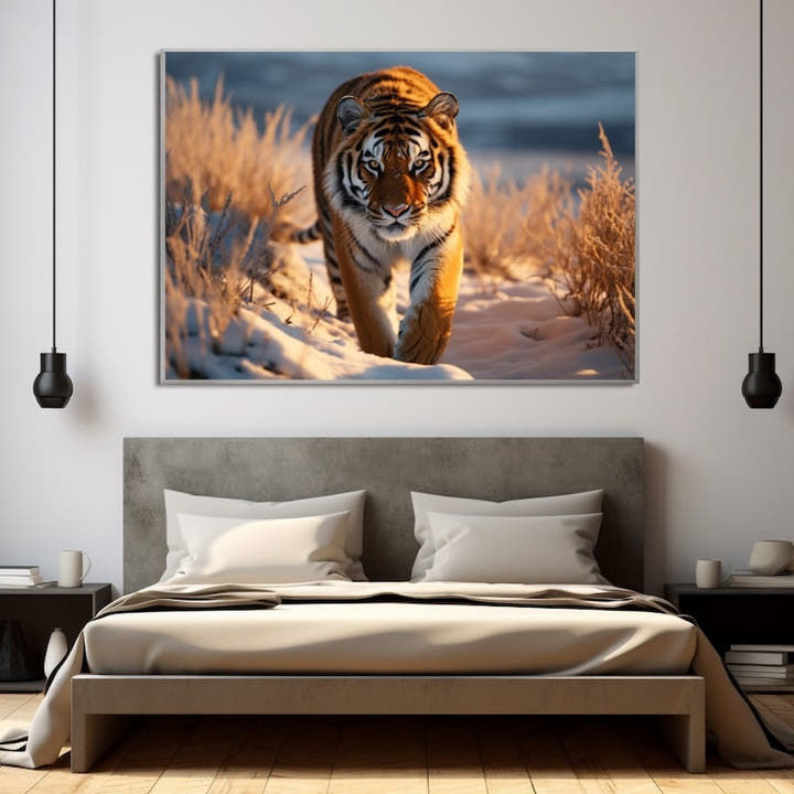 Tiger walking through snow-dusted golden grass under a deep blue sky