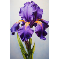 Thumbnail for Purple Iris Flower canvas