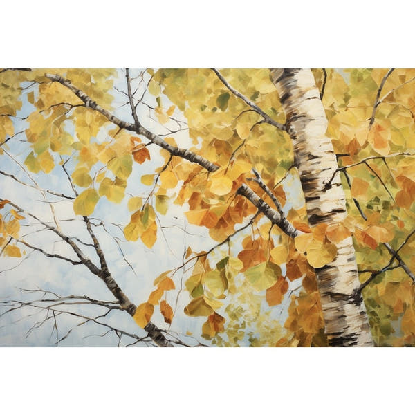 Birch Tree Fall Canvas