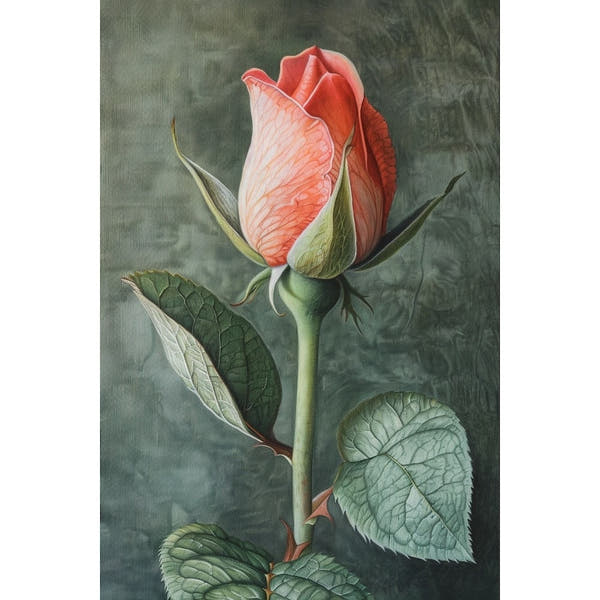 Rose Canvas in Acrylic