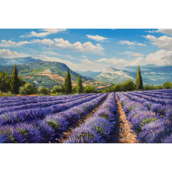 canvas of Lavender Fields in Provence
