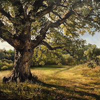 Thumbnail for Oak Tree Oil Canvas