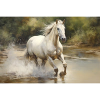 Thumbnail for White Horse Canvas