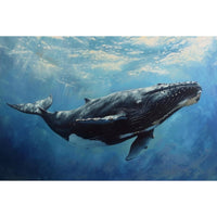 Thumbnail for Acrylic Whale Canvas