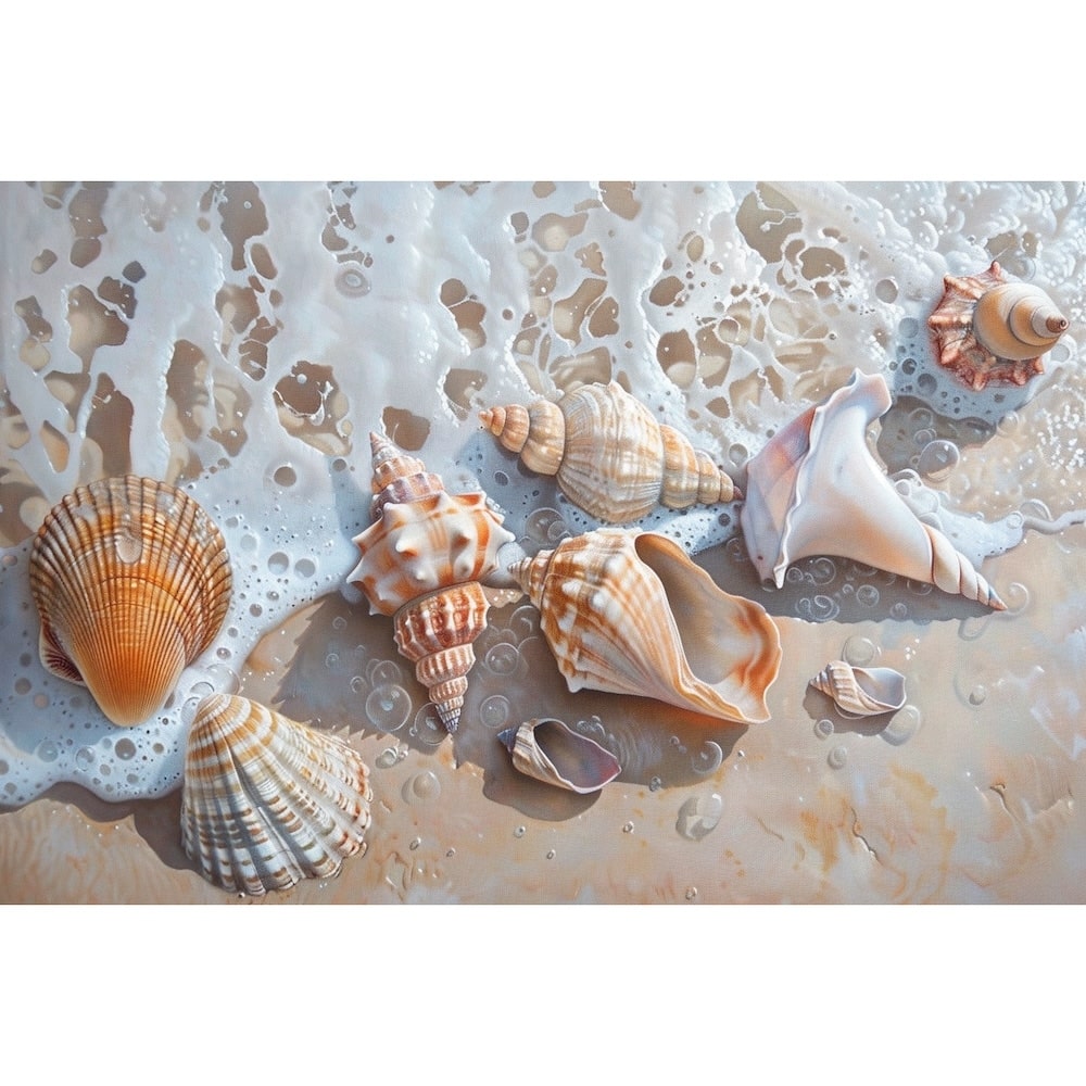 Shell Canvas