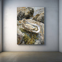 Thumbnail for Oyster Painting