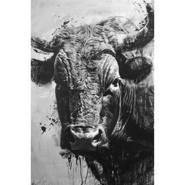 Black and White Bull Canvas