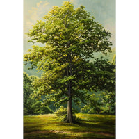 Thumbnail for Colour Tree Canvas