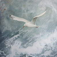 Thumbnail for Sea Gull Canvas
