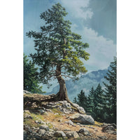 Thumbnail for Cedar Tree Canvas