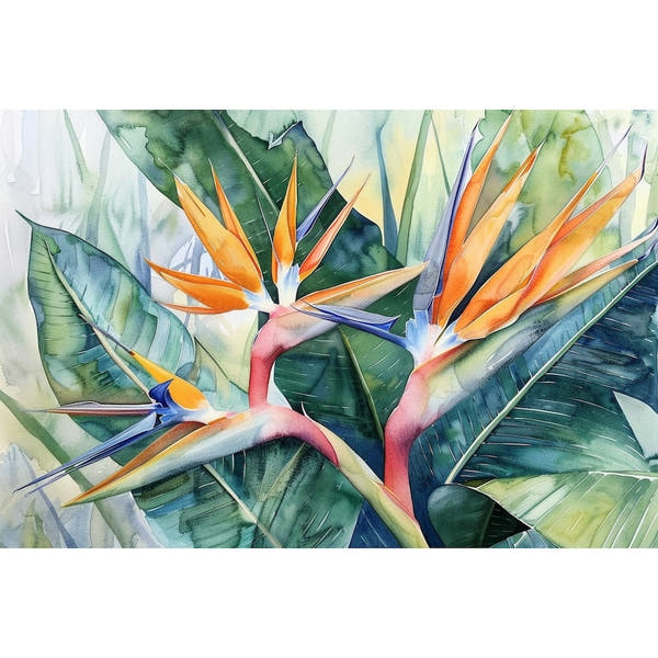 Bird of Paradise Flower Canvas
