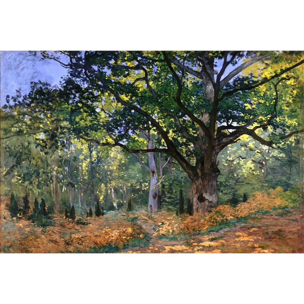 Famous Forest Canvas