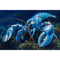 Thumbnail for Blue Lobster Canvas