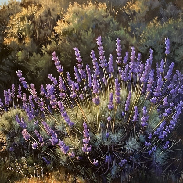 Lavender Plant canvas