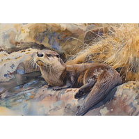 Thumbnail for Otter Canvas
