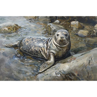 Thumbnail for Seal Canvas