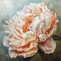 Thumbnail for Peony Oil Canvas on Canvas