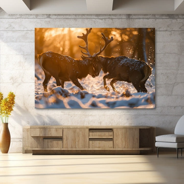 Two stags clashing in golden winter light with glittering snow