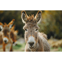 Thumbnail for Donkey Painting