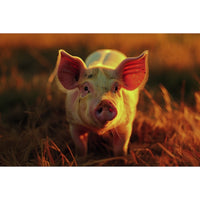 Thumbnail for Pig Painting