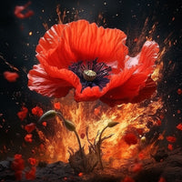 Thumbnail for Canvas of a Poppy