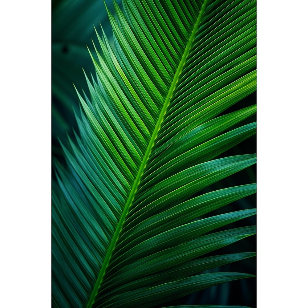Palm Leaf painting