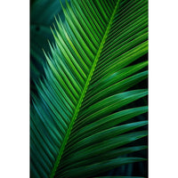 Thumbnail for Palm Leaf painting