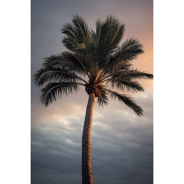 Palm Painting