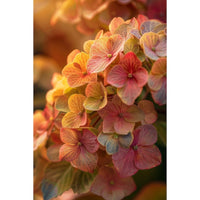 Thumbnail for Hydrangea Painting Wall Art