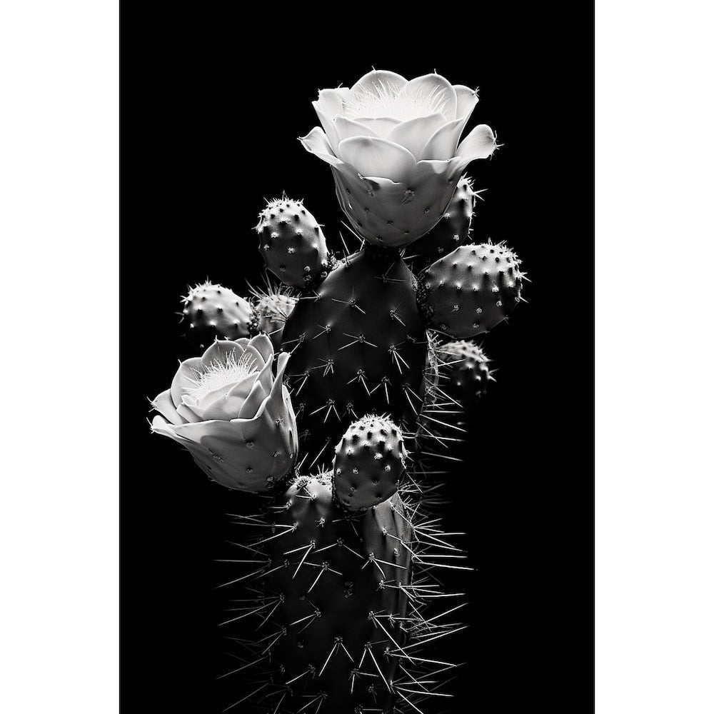 Black and White Cactus canvas