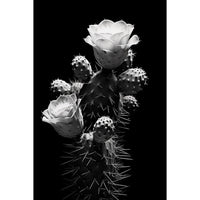 Thumbnail for Black and White Cactus canvas