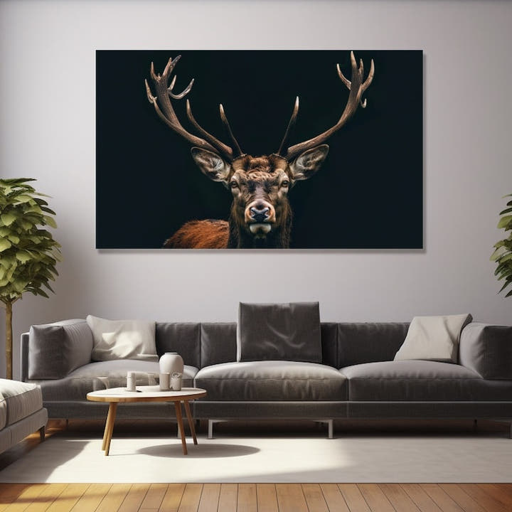 Red stag with broad antlers against a dark charcoal background