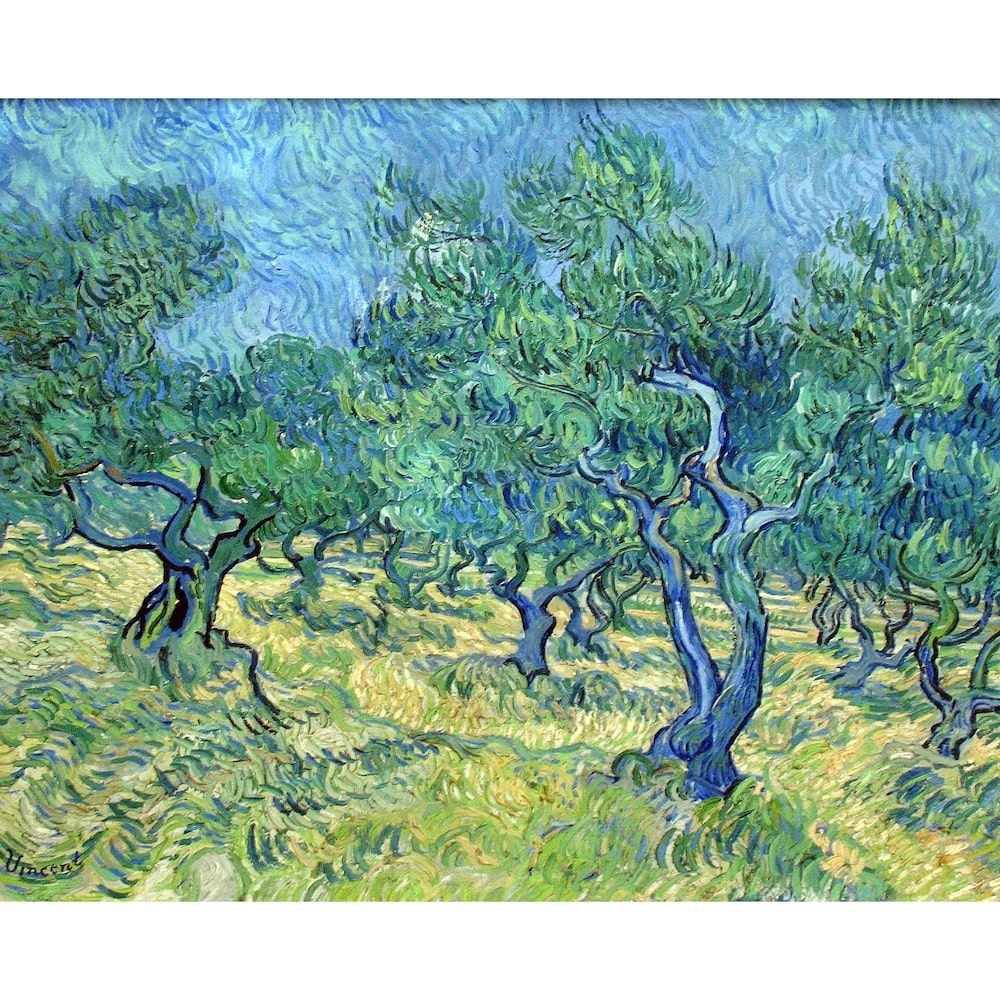 van gogh olive tree canvass