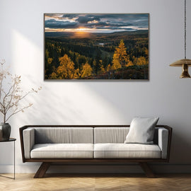 Painting of an autumn wilderness at sunset with golden birches and a distant lake