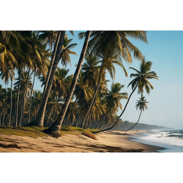 Coconut Palm Tree canvas