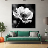 Thumbnail for Poppy Picture on Canvas