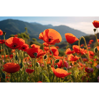 Thumbnail for Canvas with Poppies