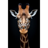 Thumbnail for Long Giraffe Painting