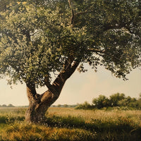 Thumbnail for Fine Art Tree Canvas