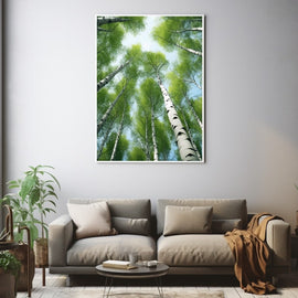 Painting looking up at soaring birch trunks and green canopy against blue sky