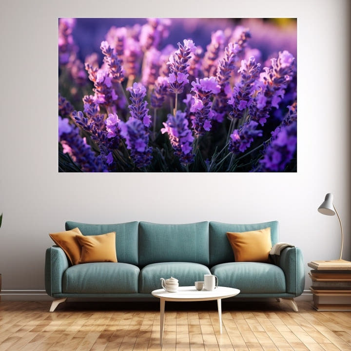 Close-up of violet lavender flower spikes in full bloom