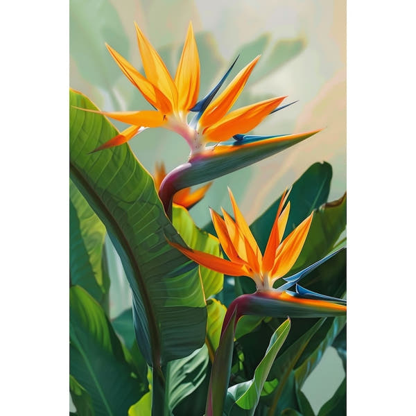 Canvas of Orange Flowers
