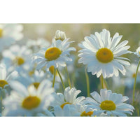 Thumbnail for White Flowers on Painting