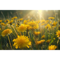 Thumbnail for Yellow Flower Field Canvas